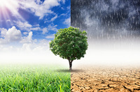 Bildretusche Klimawandel
